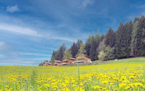 Hochleben-Chalets am Erlebnisbauernhof Steinerhof